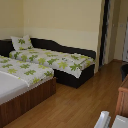 Guest house Vila Fanel