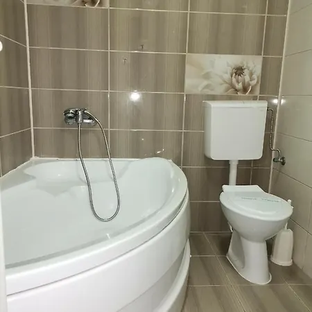 Guest house Vila Fanel