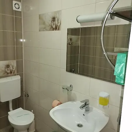 Guest house Vila Fanel *