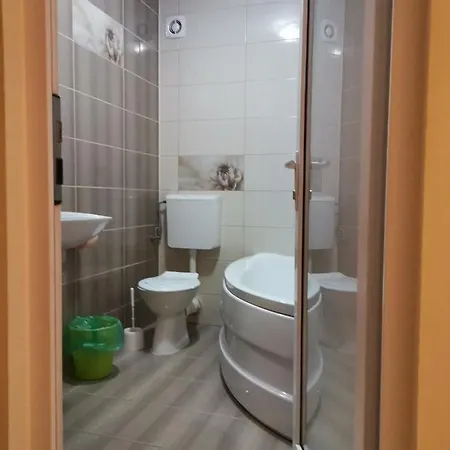 Vila Fanel Guest house *