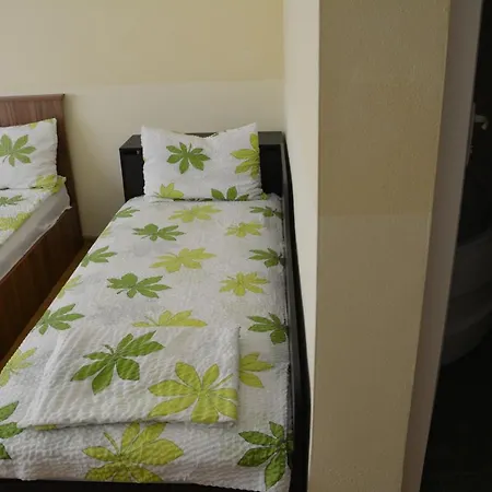Vila Fanel Guest house Eforie Nord