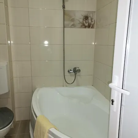 Guest house Vila Fanel *